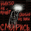 Todo Shoto_pasha ...