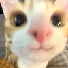 Cecilia_520