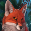 Rad Fox15