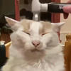 I am Youpiter