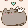 Котяк